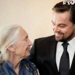 91歲珍古德安詳辭世　李奧納多哀悼摯友：真正的地球英雄