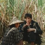 金馬62／入圍名單公布！《大濛》入圍11項大贏家　范冰冰、林依晨搶影后