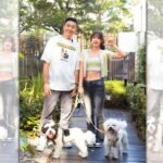 熊爸估狗/兩隻比熊犬不對盤 沁沁破解人狗焦慮根源