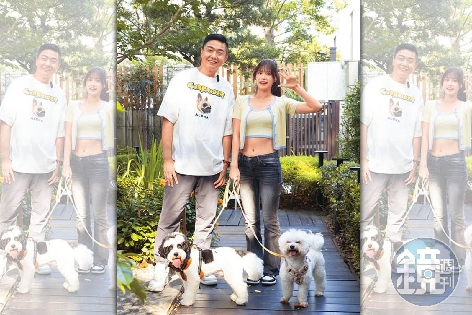 熊爸估狗/兩隻比熊犬不對盤 沁沁破解人狗焦慮根源