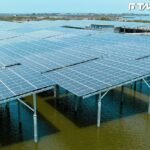 今掃2.5萬張！這檔傳產股外資前天才買1.4萬張　網呼：歡迎加入電纜教