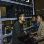中国矿工低价挥泪甩卖海量矿卡：小心“妹子自用”
